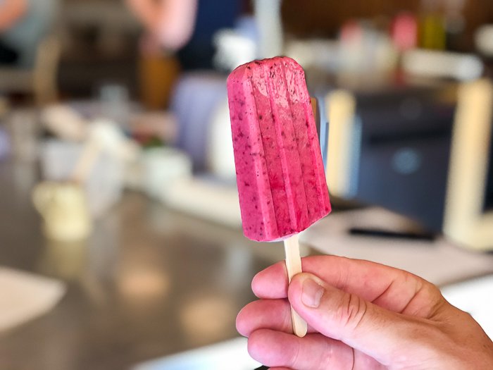 River Cottage school dairy free vegan blackcurrant lolly